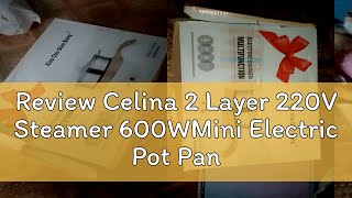 Review Celina 2 Layer 220V Steamer 600WMini Electric Pot Pan Cooker Stainless or NonStick Coating [upl. by Strage48]