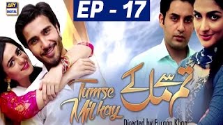 Tumse Mil Kay Episode 17  ARY Digital Drama [upl. by Esau]