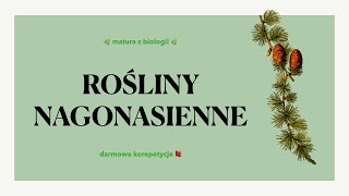 16 Rośliny nagonasienne  budowa charakterystyka cykl rozwojowy 🌲 matura biologia rozszerzona 📕 [upl. by Annaehr]