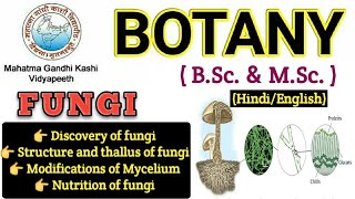 General Characteristics of FungiMyceliumHyphae Modification of MyceliumBSc 1st year BotanyFungi [upl. by Aneahs]