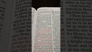 Bible Reading Matthew Chapter 16 Verse 2128 [upl. by Ecirtahs772]