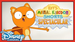 Kiffs Animal Kingdom Shorts Spectacular  Full Special  💥 NEW KIFF CHIBI SHORT  disneychannel [upl. by Namya]