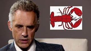 Jordan Peterson Goes Full LOBSTER In Feminist Debate [upl. by Demha843]