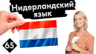 Урок 65 Популярные антонимы 2  Нидерландский Голландский язык с нуля [upl. by Ahsemot182]