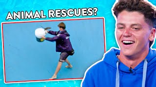 FUNNIEST Animal Rescues  Bondi Lifeguard Reacts [upl. by Ielirol]