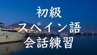 初級スペイン語会話トレーニング200  基本フレーズ聞き流し [upl. by Ramsdell]