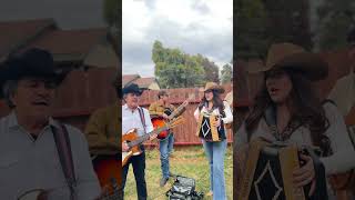 La Pava acordeon gabbanelli musicanorteña durango lasjilguerillas ramonayala carlosyjose [upl. by Caesaria]