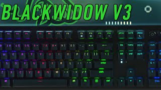 Razer BlackWidow V3 5 reasons why you should buy [upl. by Enelime906]