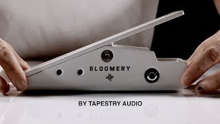 The Bloomery Features  Tapestry Audio [upl. by Bruis883]