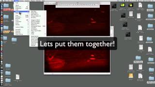 Fiji  ImageJ  Tutorial  enhancing epifluorescence Images [upl. by Gottuard]