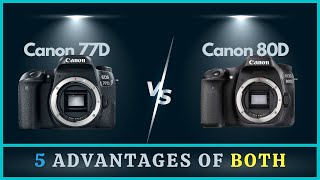 Canon 77D vs 80D  5 Common Strengths amp Weaknesses [upl. by Wan]