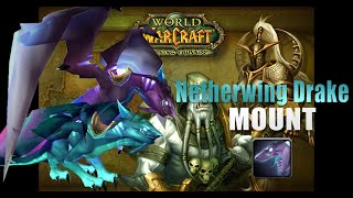 Netherwing Drake Wow  Mount Guide [upl. by Nawk]