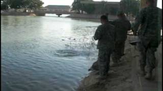 Fishing in Iraq [upl. by Anaet]