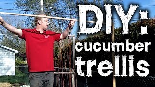 DIY Cucumber Trellis  Straight to the Point [upl. by Eniron]