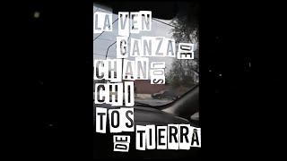 No Se Llama  La Venganza de los Chanchitos de Tierra Videoclip [upl. by Berlauda]