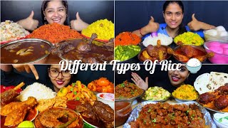 Asmr Eating Different Types Of Rice Spicy Egg Mutton Chicken Curry😋 Food Compilation Indian Mukbang [upl. by Iives]