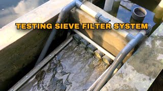 RUNNING TEST SIEVE FILTER  GRAVITY FED FOR SIEVE FILTER  KOLAM RAS  BUDIDAYA IKAN NILA [upl. by Dalton]