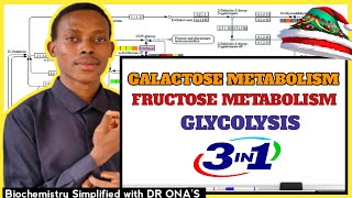 Glycolysis Galactose amp Fructose Metabolism Simplified [upl. by Naujad83]