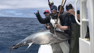 Southern California Giant Bluefin Kite Fishing [upl. by Egan]