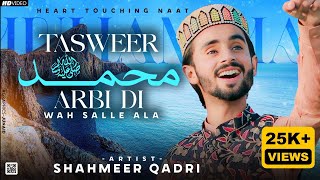 New Punjabi Naat 2023  Tasveer Muhammad Arbi Di  Wah Wah Sallay Ala  Full Video Shahmeer Qadri [upl. by Ayvid574]