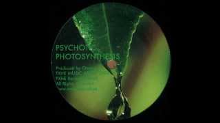 OmarS  Psychotic Photosynthesis No Drum Mix [upl. by Arleen940]