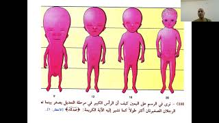 Vessels of lower limb [upl. by Sigler]