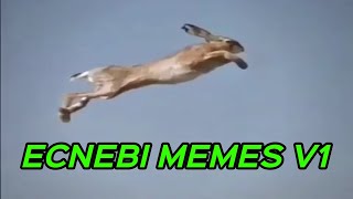 ECNEBI MEMES V1 [upl. by Yanal]