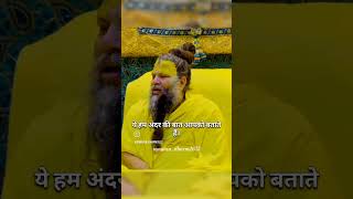 Premanand Maharaj ji 🙏🙏 premanandjimaharaj krishna trending viral [upl. by Nilson]