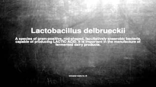 Medical vocabulary What does Lactobacillus delbrueckii mean [upl. by Annawaj]