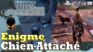 ASSASSINS CREED ODYSSEY Ostracon à Énigme  Chien Attaché  Localisation [upl. by Athena529]