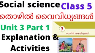 Class 5 Social science MM Unit 3 Diverse Employment explanation andactivitiesthozhil vaithithyangal [upl. by Zawde]