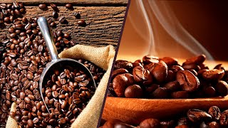 Arabica vs Robusta Coffee Beans The Ultimate Guide [upl. by Layod473]