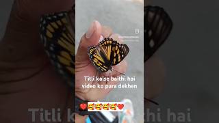 🥰Titli kaisi hoti hai FIR video video ko♥️ pura dekhna tellytalk realhinakhan tvactor 👍🔥💯 [upl. by Squier]