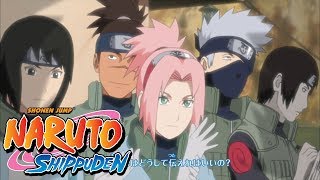 Naruto Shippuden  Opening 12  If [upl. by Readus300]