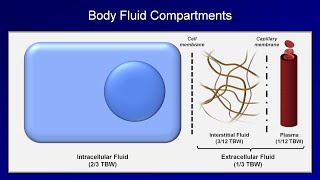 IV Fluids Lesson 1  Basic Principles [upl. by Sylado]