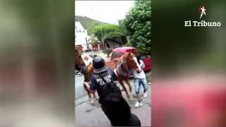 La policía le quita el caballo a un carrero [upl. by Giustina]