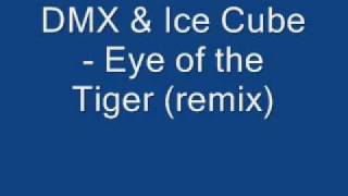 DMX amp Ice Cube  Eye of the Tiger remix [upl. by Hubert]