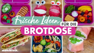 Schnelle amp frische Brotdosen Ideen  Schule  Kita  Ferien  Lunchbox  mamiblock [upl. by Salis]