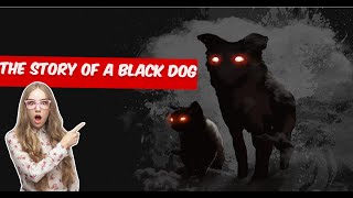 The Mysterious Tale of the Black Dog [upl. by Sueddaht]