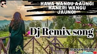 Hawa wangu aaungi Haneri wangu Jaungi  Surjit sandhul Kado Milengi Full video [upl. by Swift]