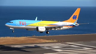 TUI 50 Years TUIfly Livery Boeing 737 MAX 8 [upl. by Andrien948]