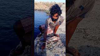 Young Man Using Big Fish to Catch Variety Fishes fishing fishingvideos thoondilulagam seafishing [upl. by Trinity]