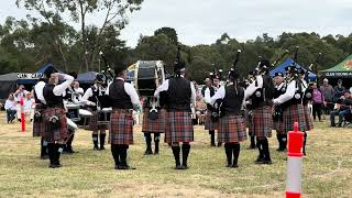 Albury Wodonga Pipes amp Drums MEDLEY Victorian Championships 2024 [upl. by Aranat]