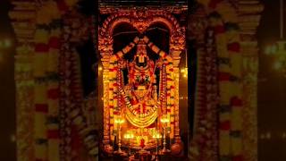 Tirumala vasa sri venkatesa❤ shorts❤ [upl. by Rebah114]