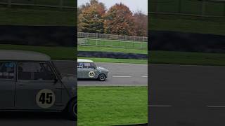 Mini racing at goodwood circuit [upl. by Akinar]