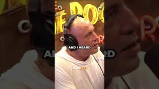 Joe Rogan Tells Crazy Rat Story🤯 [upl. by Eniala]