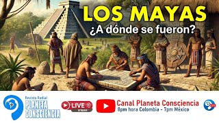 Los MAYAS ¿A donde se fueron [upl. by Ahsata]