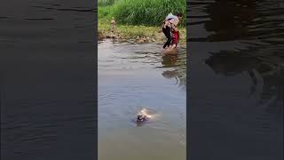 What a funny short video nature trending funny floodshorts [upl. by Guilbert89]