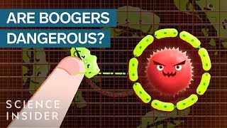 Is Eating Boogers Actually Unhealthy [upl. by Newby]