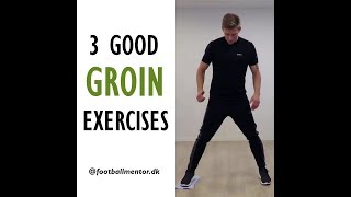 Groin Exercises  How To Treat A Groin Strain Injury [upl. by Phillipe519]